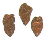 A chipotle pepper is just a smoked and dried jalapeño, which is usually found canned at the Mexican grocery or in the imported foods aisle. Chipotles add a rich, smoky flavor to salsas and sauces.